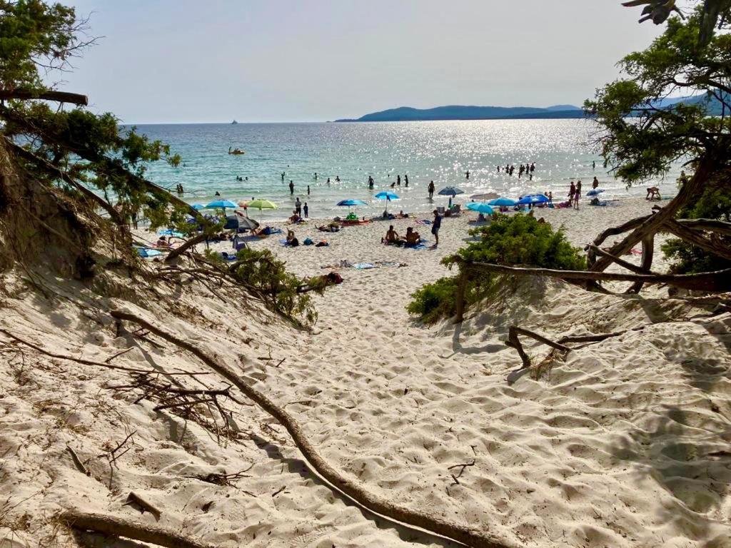 Appartamento Attico centralissimo e vicino al mare Alghero Esterno foto